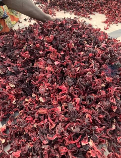 Quality Control Process